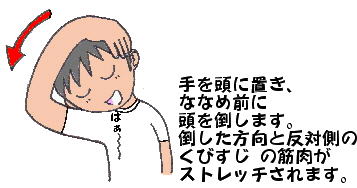 画像の説明